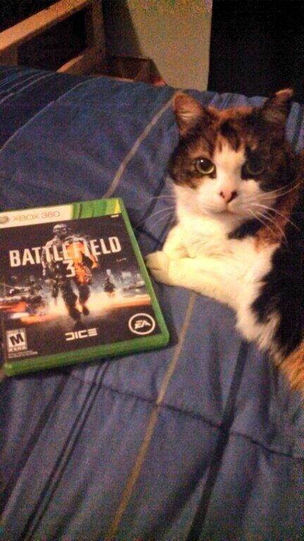 「Battlefield 4」