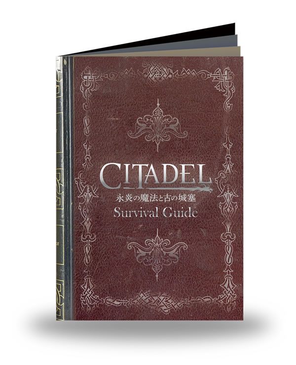 「Citadel: Forged with Fire」