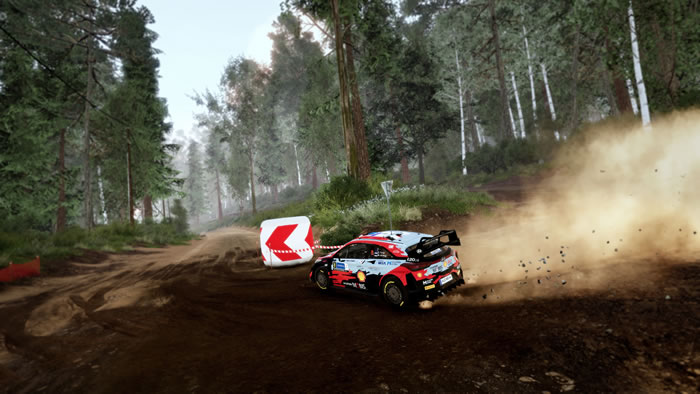 「WRC 10」