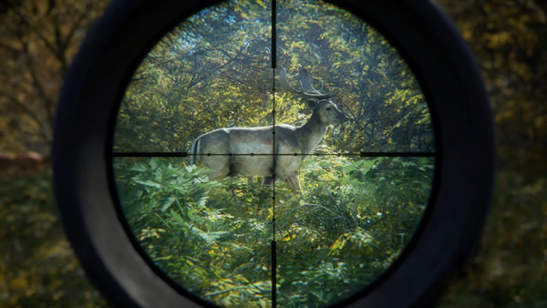 「theHunter: Call of the Wild」