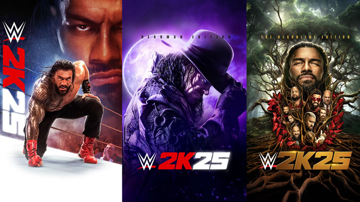 「WWE 2K」