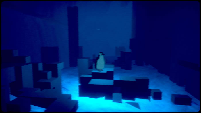 「Penguin Colony」