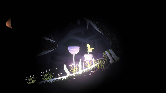 「Oscuro Blossom's Glow」