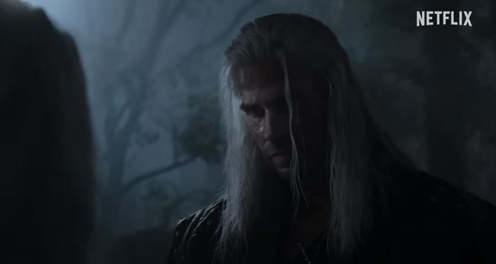 「The Witcher」
