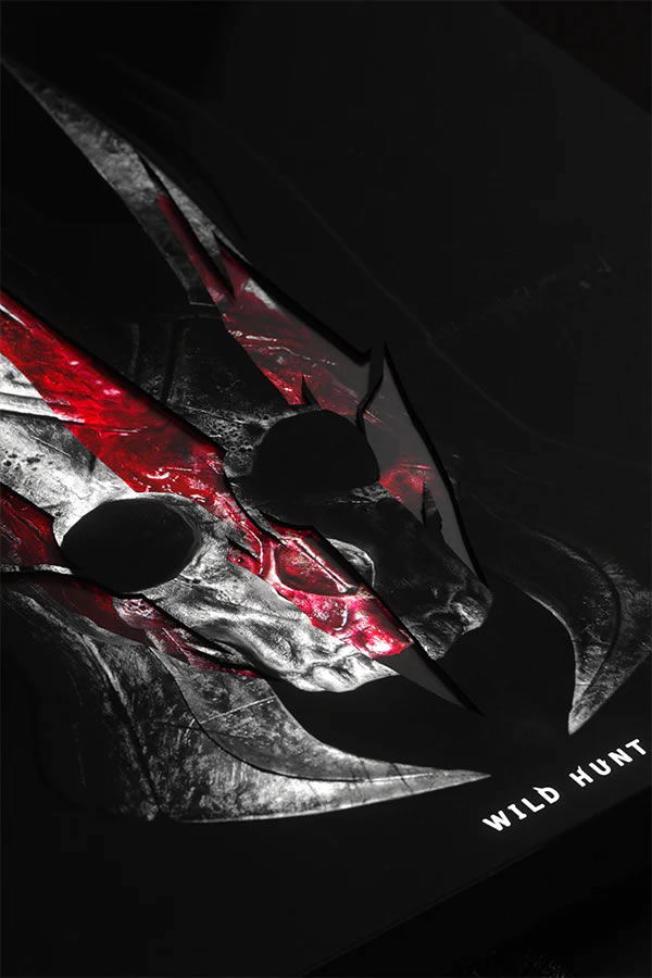 「The Witcher」